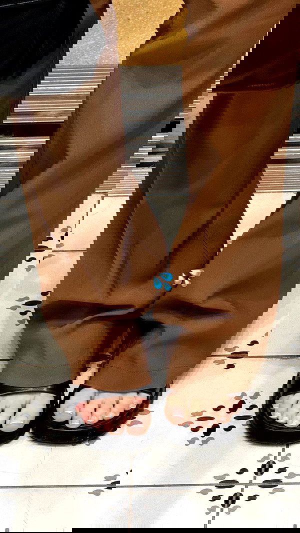 iambohema.v2 iambohema.v2 archive image