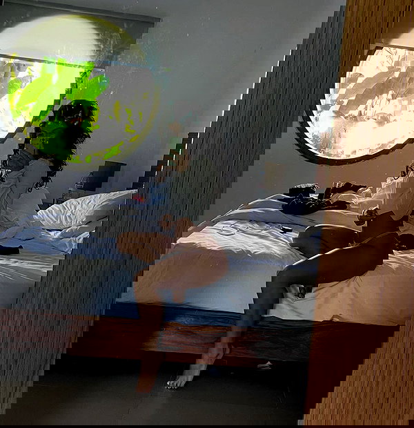 tamagotkri tamagotkri archive image