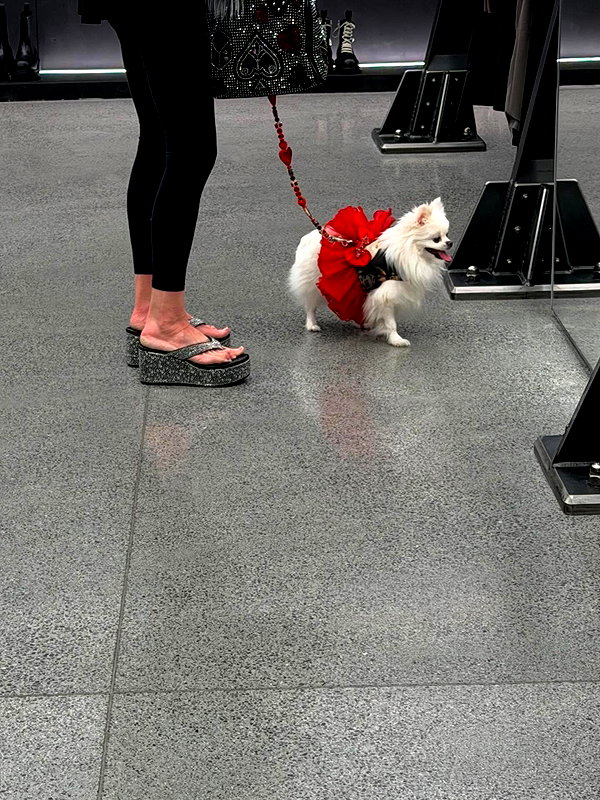 demitrakalogeras instagram image archive image