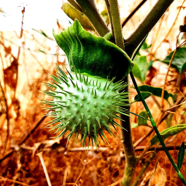 naamasini instagram image archive image