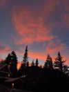 taratornquist Altpins Profile Picture