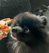 katrina.zaiceva Altpins Profile Picture