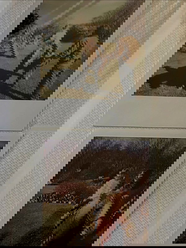 taylor.creeden taylor.creeden archive image