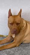 olivia.mathers Altpins Profile Picture