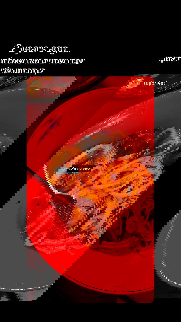 tuliprivet tuliprivet archive image