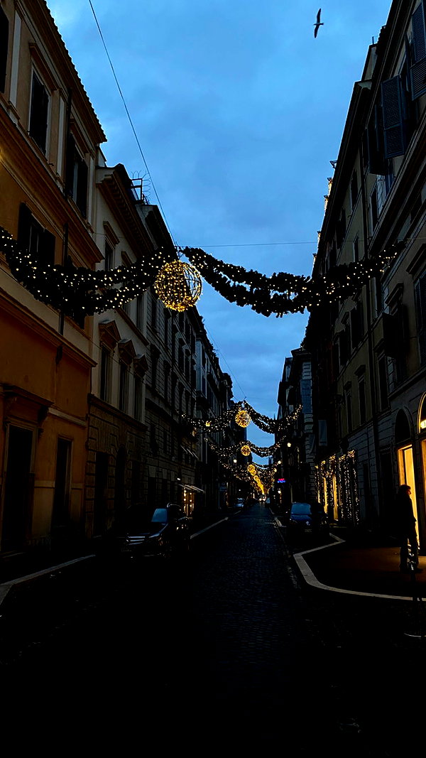 federica.piccinni instagram image archive image