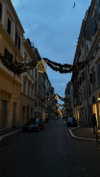 federica.piccinni Altpins Profile Picture