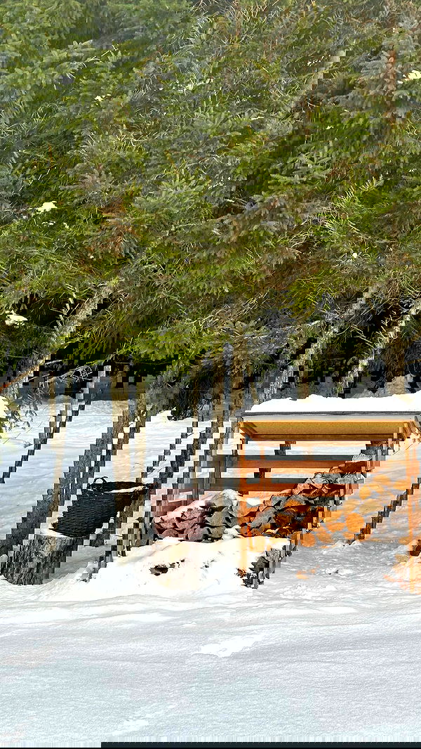 manjolamuriqi manjolamuriqi archive image