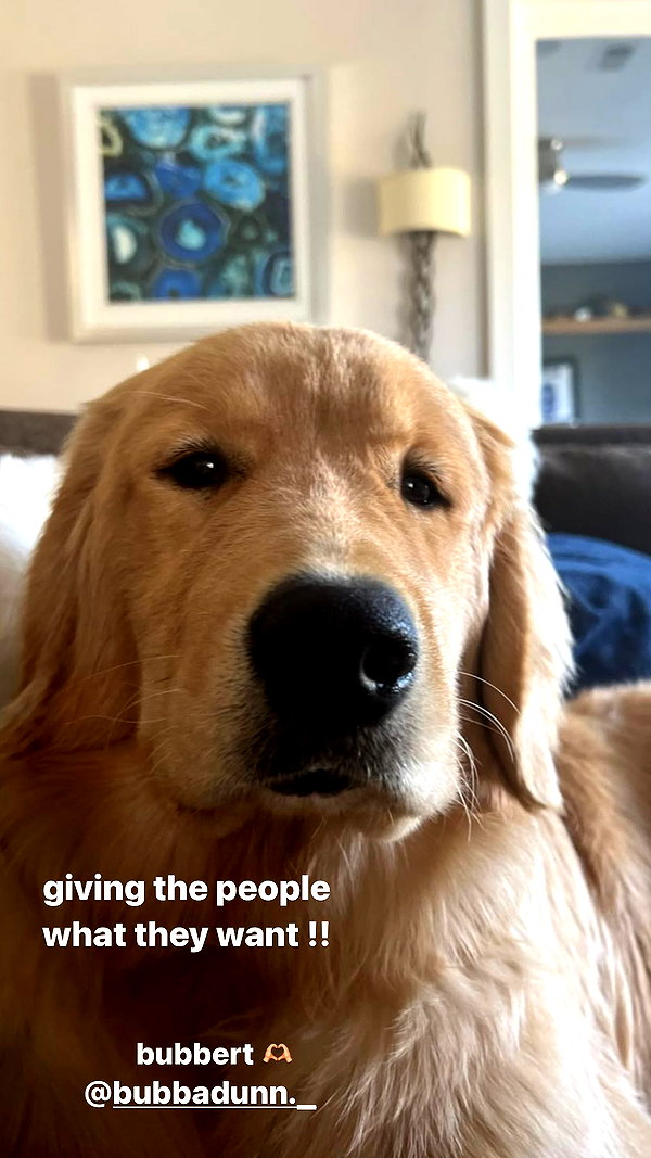 allie_dunn instagram image archive image