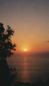 pia__kim Altpins Profile Picture