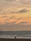 adyanacovelli Altpins Profile Picture