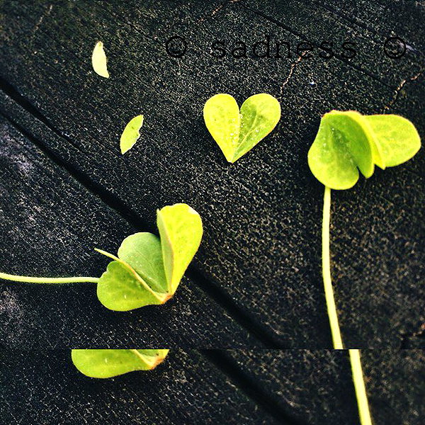 hallucineon instagram image archive image