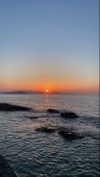 michalcohen___ Altpins Profile Picture