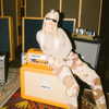 xtina Altpins Profile Picture