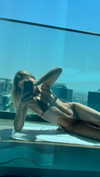 taylorcattanach Altpins Profile Picture