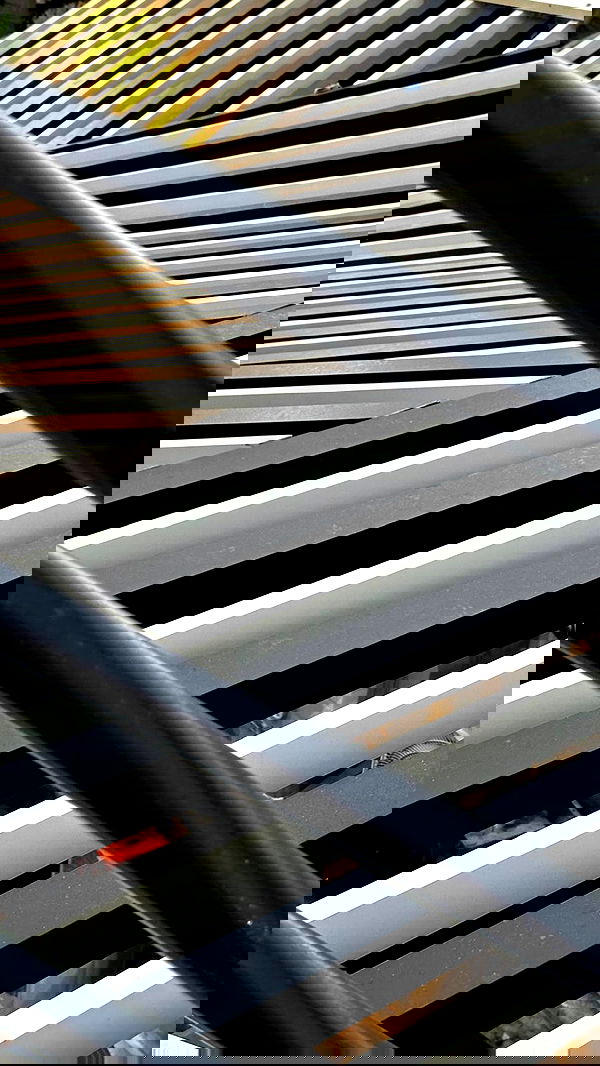 romy_ayalla_lavi romy_ayalla_lavi archive image