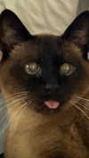 laluzone Altpins Profile Picture