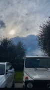 federica.piccinni Altpins Profile Picture
