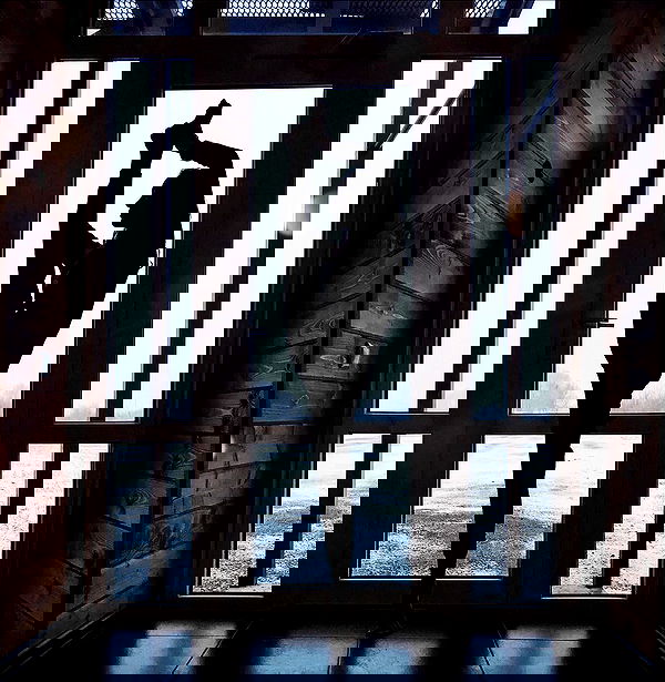 kkulakovaa image ~ Altpins