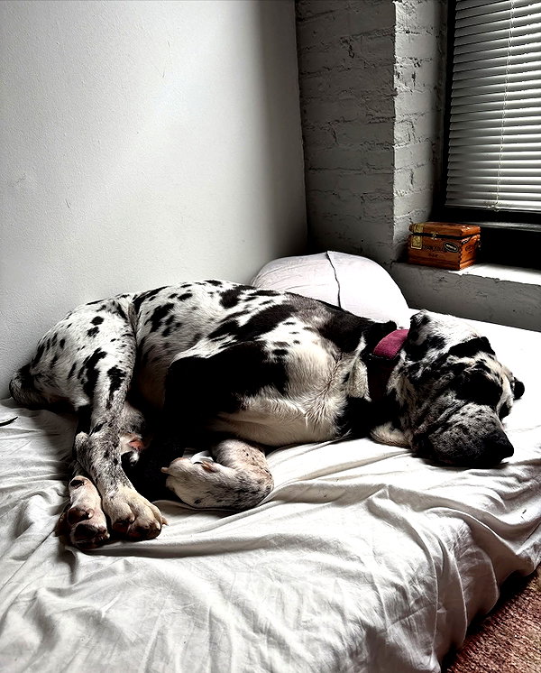 winbun.io instagram image archive image