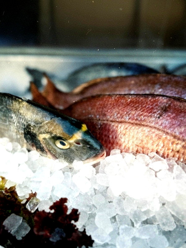 adihimelbloy instagram image archive image