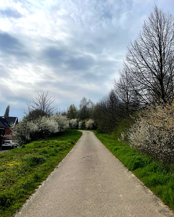 melsaimc instagram image archive image