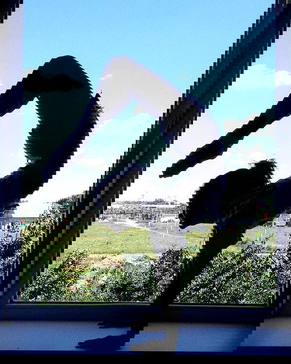 kkulakovaa image ~ Altpins