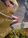 fair_mua Altpins Profile Picture