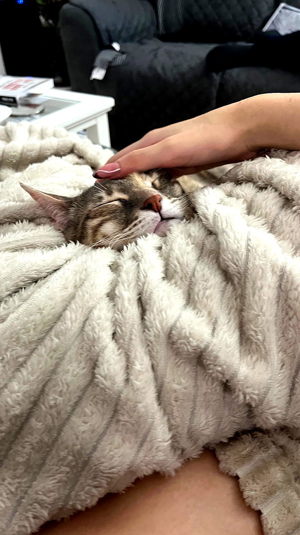 Archived image from @notchicore on Instagram