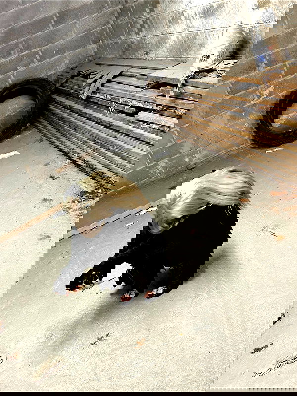 rchhhll rchhhll archive image