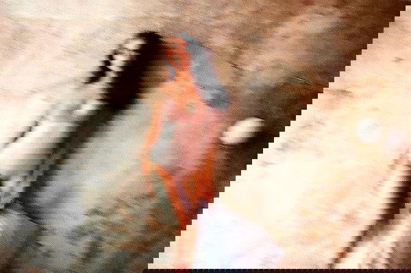 kkulakovaa image ~ Altpins