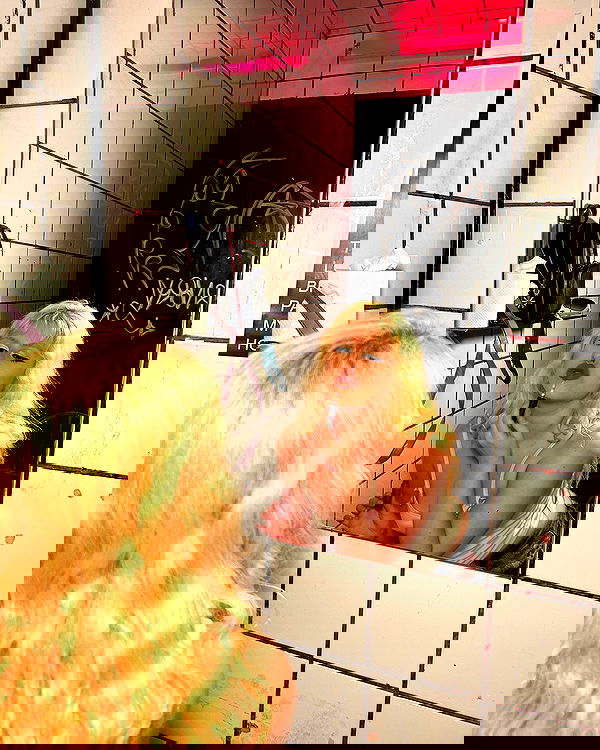 ormosheee ormosheee archive image