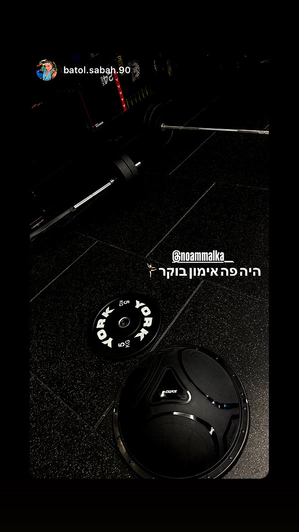 noammalka___ instagram image archive image