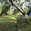 kkulakovaa Altpins Profile Picture