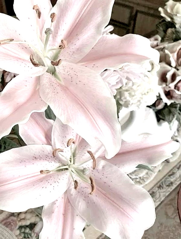 mie.llune instagram image archive image