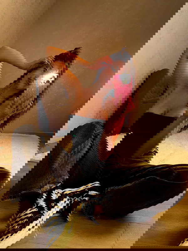 pollcherri pollcherri archive image