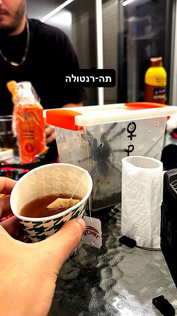 assoolin instagram image archive image
