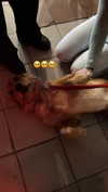 nicole.shpo Altpins Profile Picture