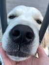 gisellelee8 Altpins Profile Picture