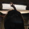 hunterschafer Altpins Profile Picture