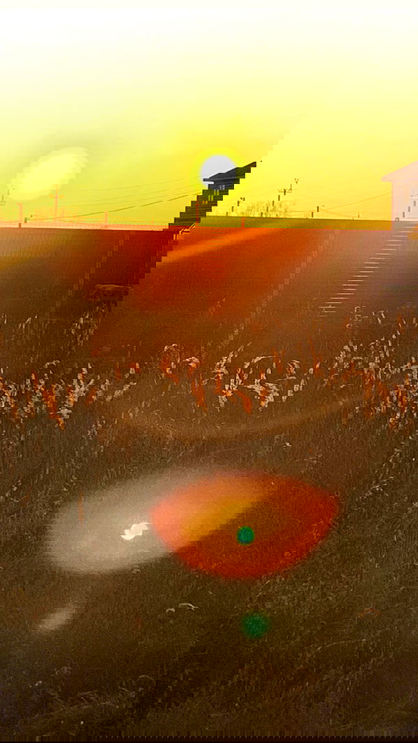 nyityam nyityam archive image