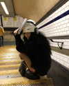 fair_mua Altpins Profile Picture