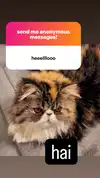 mirekyarahire Altpins Profile Picture