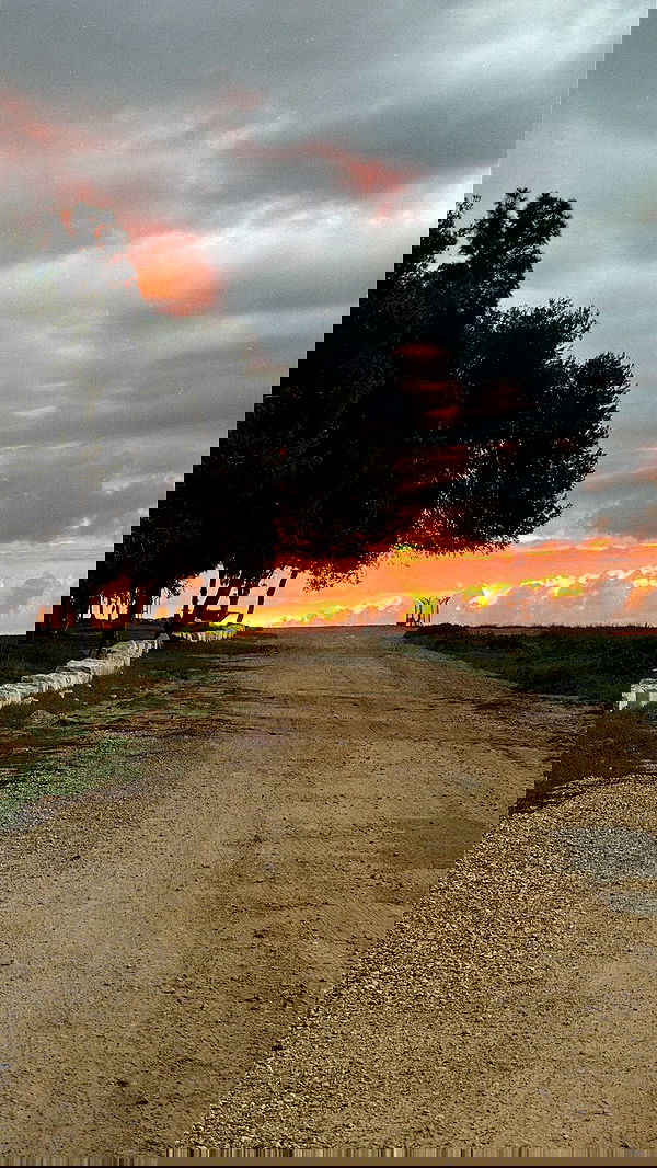 laluzone laluzone archive image