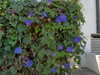 0nlygrlinthewrld Altpins Profile Picture