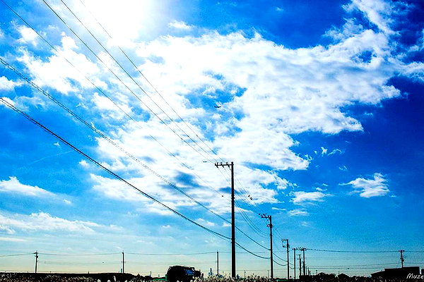 muze instagram image archive image