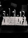 avrillavigne Altpins Profile Picture