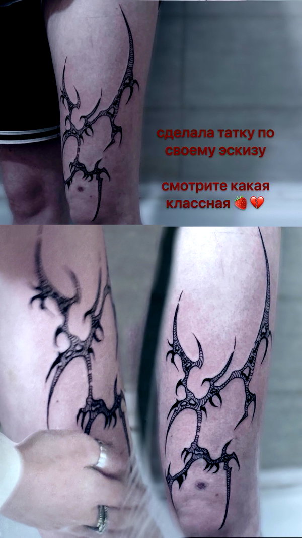 amanitalis instagram image archive image