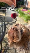 lila.clarkson Altpins Profile Picture