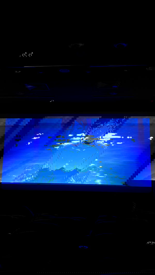 pinx_ir pinx_ir archive image